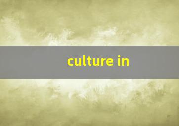 culture in